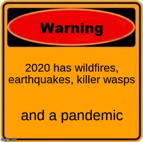 Warning Sign Meme | 2020 has wildfires, earthquakes, killer wasps; and a pandemic | image tagged in memes,warning sign | made w/ Imgflip meme maker
