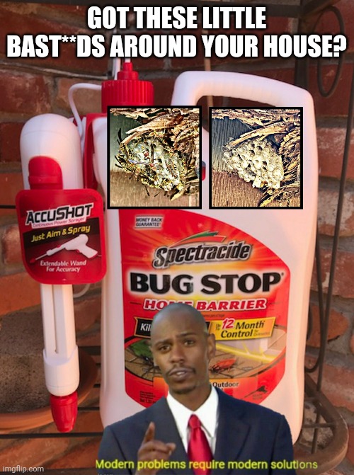 Stingers | GOT THESE LITTLE BAST**DS AROUND YOUR HOUSE? | image tagged in pests,wasps,hornets not murder variety,chemical warfare,victory | made w/ Imgflip meme maker