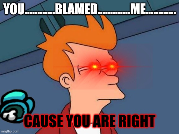 Futurama Fry |  YOU............BLAMED.............ME............ CAUSE YOU ARE RIGHT | image tagged in memes,futurama fry | made w/ Imgflip meme maker