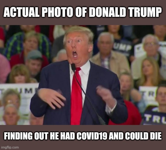 Donald Trump Mocking Disabled | ACTUAL PHOTO OF DONALD TRUMP; FINDING OUT HE HAD COVID19 AND COULD DIE | image tagged in donald trump mocking disabled | made w/ Imgflip meme maker