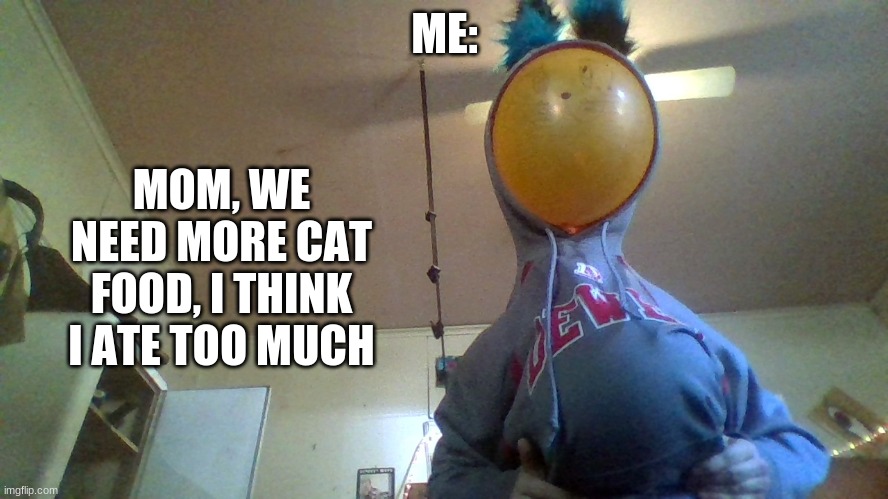Uhhhh mom? | ME:; MOM, WE NEED MORE CAT FOOD, I THINK I ATE TOO MUCH | image tagged in sfw,cats | made w/ Imgflip meme maker