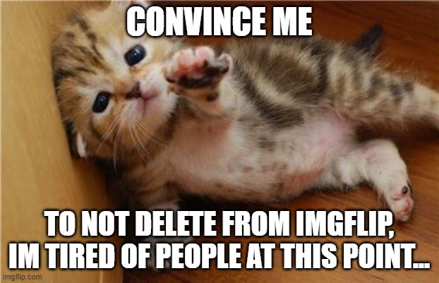 im tired of this...everywhere i go, stalked by someone or called dumb names... | CONVINCE ME; TO NOT DELETE FROM IMGFLIP, IM TIRED OF PEOPLE AT THIS POINT... | image tagged in help me kitten,cool,the end is near | made w/ Imgflip meme maker