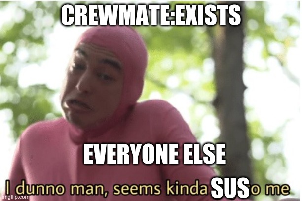 I dunno man seems kinda gay to me | CREWMATE:EXISTS; EVERYONE ELSE; SUS | image tagged in i dunno man seems kinda gay to me | made w/ Imgflip meme maker