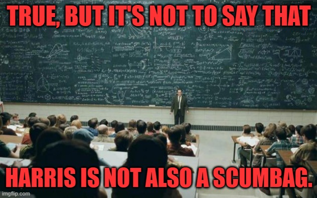 Professor in front of class | TRUE, BUT IT'S NOT TO SAY THAT HARRIS IS NOT ALSO A SCUMBAG. | image tagged in professor in front of class | made w/ Imgflip meme maker