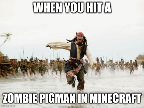 Jack Sparrow Being Chased Meme | WHEN YOU HIT A; ZOMBIE PIGMAN IN MINECRAFT | image tagged in memes,jack sparrow being chased | made w/ Imgflip meme maker