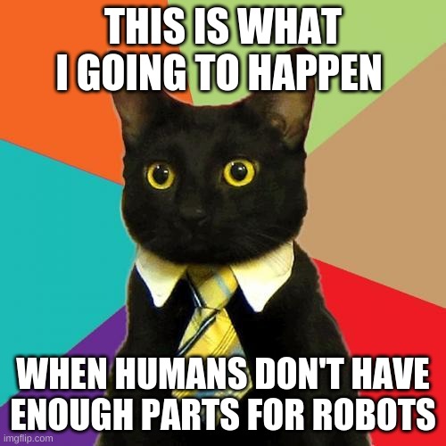 Black Cat in Tie | THIS IS WHAT I GOING TO HAPPEN; WHEN HUMANS DON'T HAVE ENOUGH PARTS FOR ROBOTS | image tagged in black cat in tie | made w/ Imgflip meme maker