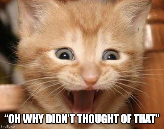 Yes | “OH WHY DIDN’T THOUGHT OF THAT” | image tagged in memes,excited cat | made w/ Imgflip meme maker