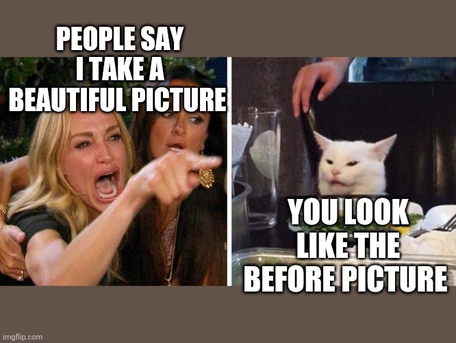 Smudge the cat | PEOPLE SAY I TAKE A BEAUTIFUL PICTURE; YOU LOOK LIKE THE BEFORE PICTURE | image tagged in smudge the cat | made w/ Imgflip meme maker