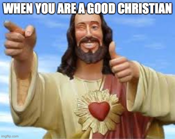 Jesus meme | WHEN YOU ARE A GOOD CHRISTIAN | image tagged in jesus christ | made w/ Imgflip meme maker