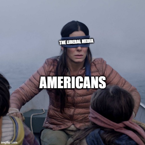 am i wrong | THE LIBERAL MEDIA; AMERICANS | image tagged in memes,bird box,funny,politics,so true memes,fake news | made w/ Imgflip meme maker