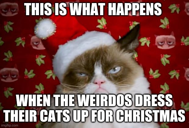 Grumpy Santa Cat | THIS IS WHAT HAPPENS; WHEN THE WEIRDOS DRESS THEIR CATS UP FOR CHRISTMAS | image tagged in grumpy santa cat | made w/ Imgflip meme maker