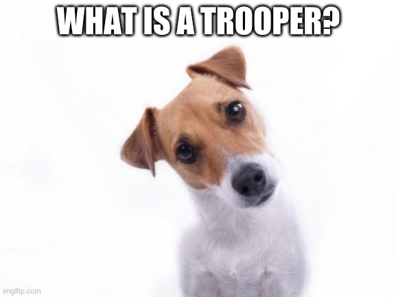 Confused Dog | WHAT IS A TROOPER? | image tagged in confused dog | made w/ Imgflip meme maker
