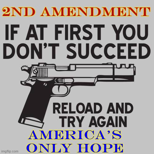 Reparations will soon mean being lynched or becoming a slave yourself | 2ND AMENDMENT; AMERICA'S ONLY HOPE | image tagged in vince vance,reparations,guns,gun control,gun rights,memes | made w/ Imgflip meme maker