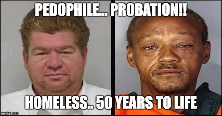 memed | PEDOPHILE... PROBATION!! HOMELESS.. 50 YEARS TO LIFE | image tagged in racism | made w/ Imgflip meme maker