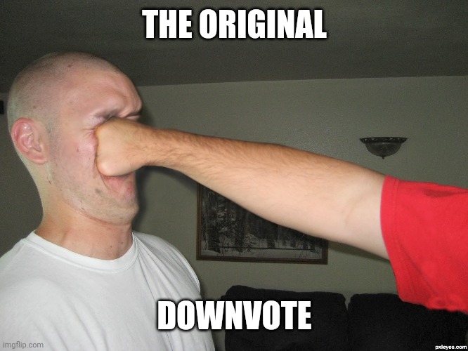 Face punch | THE ORIGINAL DOWNVOTE | image tagged in face punch | made w/ Imgflip meme maker