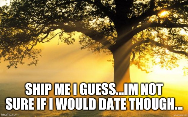 nature | SHIP ME I GUESS...IM NOT SURE IF I WOULD DATE THOUGH... | image tagged in nature | made w/ Imgflip meme maker