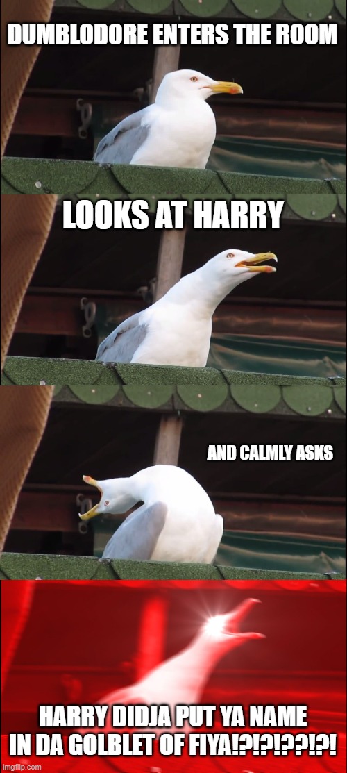 Inhaling Seagull | DUMBLODORE ENTERS THE ROOM; LOOKS AT HARRY; AND CALMLY ASKS; HARRY DIDJA PUT YA NAME IN DA GOLBLET OF FIYA!?!?!??!?! | image tagged in memes,inhaling seagull | made w/ Imgflip meme maker