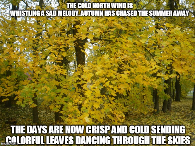 Autumn Days | THE COLD NORTH WIND IS WHISTLING A SAD MELODY, AUTUMN HAS CHASED THE SUMMER AWAY; THE DAYS ARE NOW CRISP AND COLD SENDING COLORFUL LEAVES DANCING THROUGH THE SKIES | image tagged in autumn,summer,colorful leaves,north wind | made w/ Imgflip meme maker