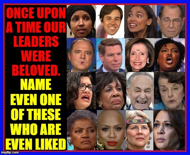 How could even one of these venom-filled haters get elected? | image tagged in vince vance,kamala harris,nancy pelosi,maxine waters,democrats,adam schiff | made w/ Imgflip meme maker