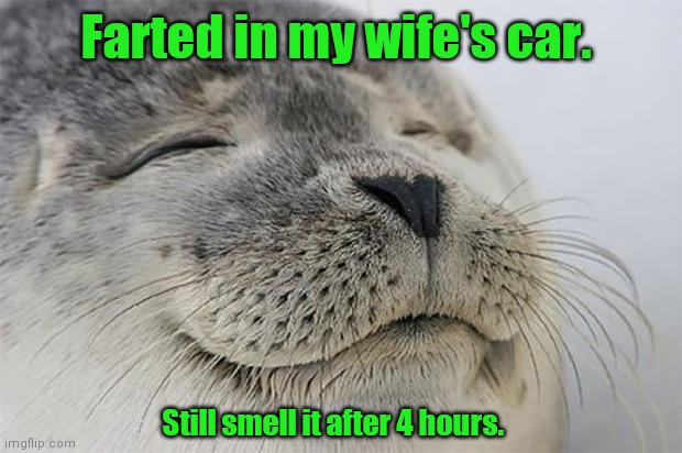 She punched my shoulder. | Farted in my wife's car. Still smell it after 4 hours. | image tagged in memes,satisfied seal,kindafunny,doesanyonereadthesetags | made w/ Imgflip meme maker