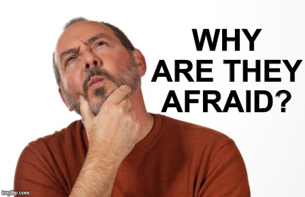 pondering  that... | WHY ARE THEY AFRAID? | image tagged in pondering that | made w/ Imgflip meme maker