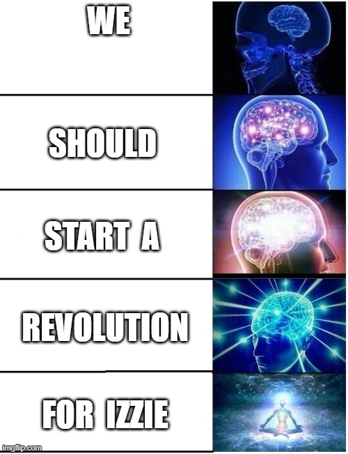 We should start an imgflip revolution against stupid parents #saveizzie | WE; SHOULD; START  A; REVOLUTION; FOR  IZZIE | image tagged in expanding brain 5 panel | made w/ Imgflip meme maker