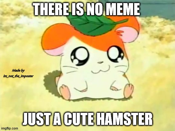 Hamtaro | THERE IS NO MEME; Made by im_not_the_imposter; JUST A CUTE HAMSTER | image tagged in memes,hamtaro | made w/ Imgflip meme maker