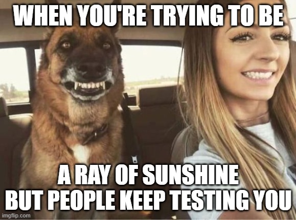 WHEN YOU'RE TRYING TO BE; A RAY OF SUNSHINE BUT PEOPLE KEEP TESTING YOU | made w/ Imgflip meme maker