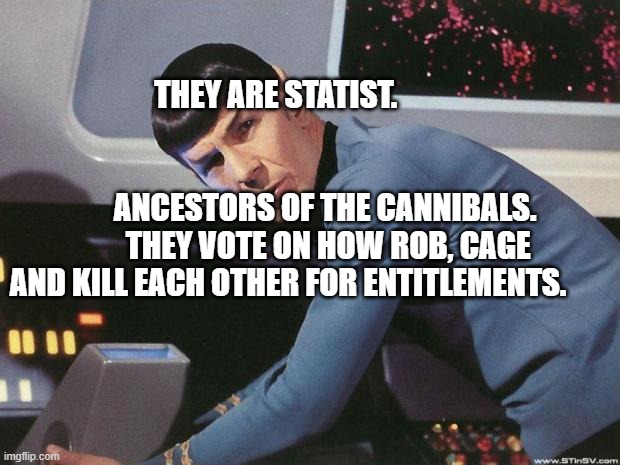 Spock | THEY ARE STATIST.                                                                                       ANCESTORS OF THE CANNIBALS.         THEY VOTE ON HOW ROB, CAGE AND KILL EACH OTHER FOR ENTITLEMENTS. | image tagged in spock | made w/ Imgflip meme maker