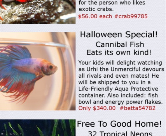 Cannibal fish | image tagged in funny fish ad,cannibal fish,beta,humorous | made w/ Imgflip meme maker