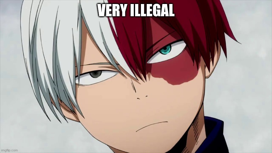 Bruh Todoroki | VERY ILLEGAL | image tagged in bruh todoroki | made w/ Imgflip meme maker