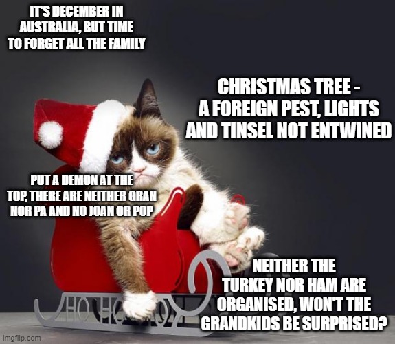 Grumpy Cat Christmas HD | IT'S DECEMBER IN AUSTRALIA, BUT TIME TO FORGET ALL THE FAMILY; CHRISTMAS TREE - A FOREIGN PEST, LIGHTS AND TINSEL NOT ENTWINED; PUT A DEMON AT THE TOP, THERE ARE NEITHER GRAN NOR PA AND NO JOAN OR POP; NEITHER THE TURKEY NOR HAM ARE ORGANISED, WON'T THE GRANDKIDS BE SURPRISED? | image tagged in grumpy cat christmas hd,memes,grumpy cat not amused,christmas,meme,cats | made w/ Imgflip meme maker