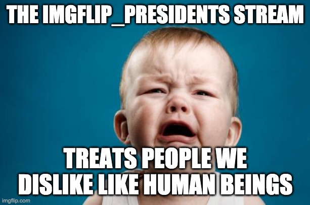 crybaby | THE IMGFLIP_PRESIDENTS STREAM TREATS PEOPLE WE DISLIKE LIKE HUMAN BEINGS | image tagged in crybaby | made w/ Imgflip meme maker