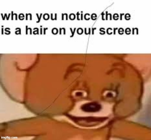 hair on the screen | image tagged in memes,funny | made w/ Imgflip meme maker