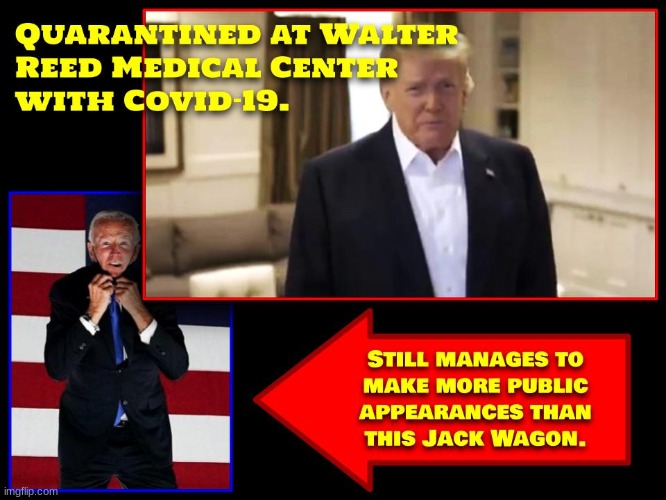 Whatta President! | image tagged in trump 2020,joe biden,covid-19,political,politics | made w/ Imgflip meme maker