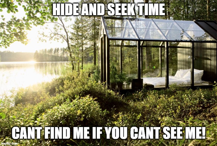 Hide and Seek | HIDE AND SEEK TIME; CANT FIND ME IF YOU CANT SEE ME! | image tagged in outdoors | made w/ Imgflip meme maker