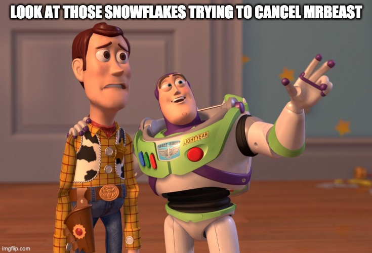 E | LOOK AT THOSE SNOWFLAKES TRYING TO CANCEL MRBEAST | image tagged in what | made w/ Imgflip meme maker