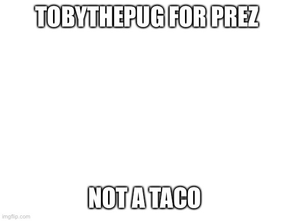Justice Party | TOBYTHEPUG FOR PREZ; NOT A TACO | image tagged in blank white template,justice party | made w/ Imgflip meme maker