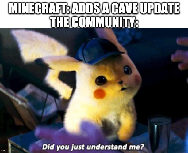 Did you just understand me | MINECRAFT: ADDS A CAVE UPDATE
THE COMMUNITY: | image tagged in did you just understand me | made w/ Imgflip meme maker