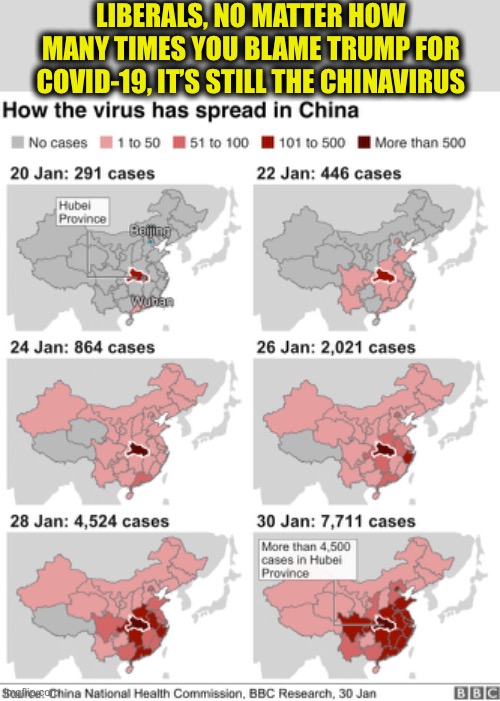 ChinaVirus | LIBERALS, NO MATTER HOW MANY TIMES YOU BLAME TRUMP FOR COVID-19, IT’S STILL THE CHINAVIRUS | image tagged in coronavirus,covid19,funny memes,liberal logic,stupid liberals | made w/ Imgflip meme maker