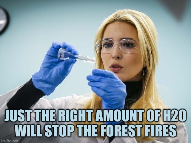 Ivanka Trump Science | JUST THE RIGHT AMOUNT OF H2O
WILL STOP THE FOREST FIRES | image tagged in ivanka trump science | made w/ Imgflip meme maker