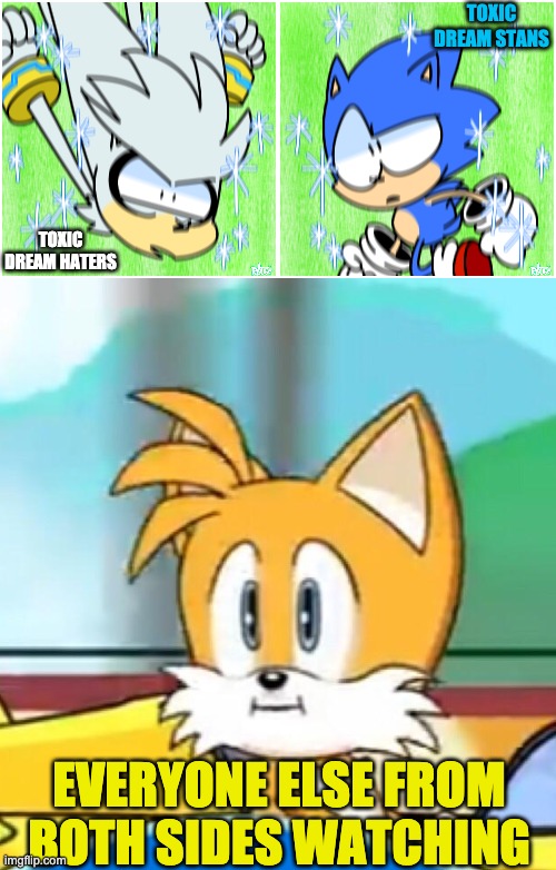 Let the man have his opinion | TOXIC DREAM STANS; TOXIC DREAM HATERS; EVERYONE ELSE FROM BOTH SIDES WATCHING | image tagged in tails hold up,sonic passby | made w/ Imgflip meme maker