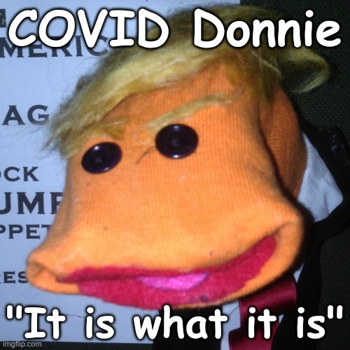 Donald Trump COVID Donnie It is what it is | COVID Donnie; "It is what it is" | image tagged in moron,covid-19,trump,pandemic,it is what it is,republican | made w/ Imgflip meme maker
