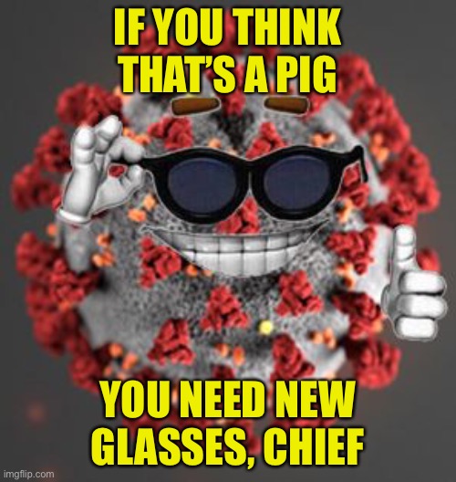 Kylie Minogue: A pig. Lol! Survey says? | IF YOU THINK THAT’S A PIG; YOU NEED NEW GLASSES, CHIEF | image tagged in coronavirus,trolling the troll,imgflip trolls,internet trolls,misogyny,trolls | made w/ Imgflip meme maker