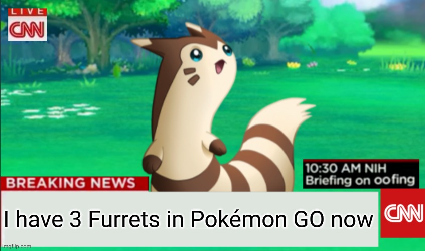 Breaking News Furret | I have 3 Furrets in Pokémon GO now | image tagged in breaking news furret,pokemon go,furret,is,awesome,stop reading the tags | made w/ Imgflip meme maker