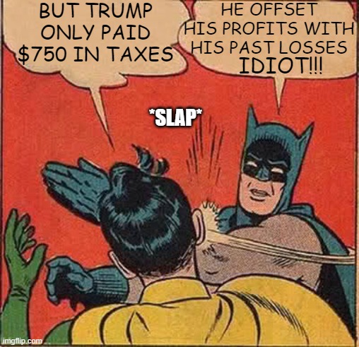 Trumps tax controversy | BUT TRUMP ONLY PAID $750 IN TAXES; HE OFFSET HIS PROFITS WITH HIS PAST LOSSES; IDIOT!!! *SLAP* | image tagged in memes,batman slapping robin,tax controversy,donald trump,trump only paid 750 dollars,trumps taxes | made w/ Imgflip meme maker