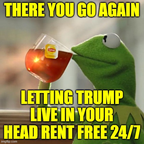 But That's None Of My Business Meme | THERE YOU GO AGAIN LETTING TRUMP LIVE IN YOUR HEAD RENT FREE 24/7 | image tagged in memes,but that's none of my business,kermit the frog | made w/ Imgflip meme maker