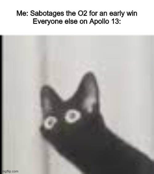 Me: Sabotages the O2 for an early win
Everyone else on Apollo 13: | image tagged in o2,sabotage,among us,apollo 13 | made w/ Imgflip meme maker