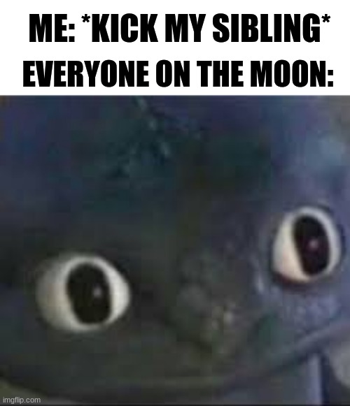 oop | ME: *KICK MY SIBLING*; EVERYONE ON THE MOON: | image tagged in unsettled toothless,httyd,how to train your dragon | made w/ Imgflip meme maker