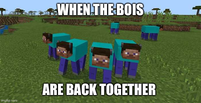 Bois | WHEN THE BOIS; ARE BACK TOGETHER | image tagged in me and the boys | made w/ Imgflip meme maker